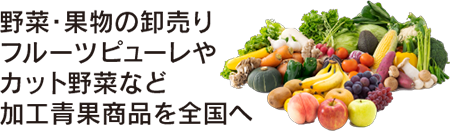 野菜・果物の卸売りフルーツピューレやカット野菜など加工青果商品を全国へ