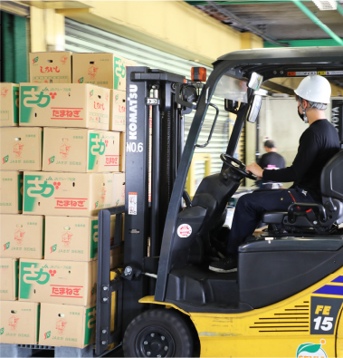 福岡県北九州市の業務用野菜卸売り業 株式会社　セビア 業務内容イメージ