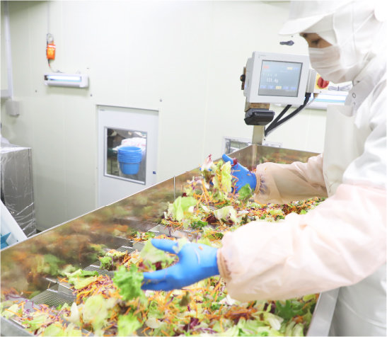 カット野菜の製造、大根のつま製造イメージ