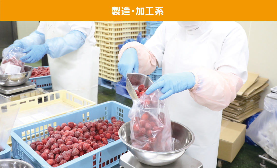 セビア製造・加工　募集要項ヘッダー画像