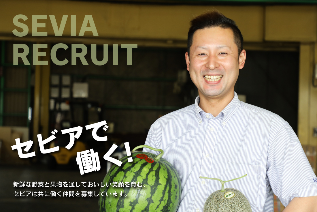 採用情報ヘッダーイメージ