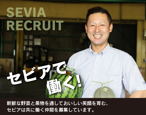 採用情報ヘッダーイメージ