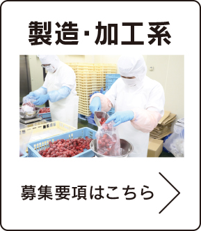 製造・加工系　募集要項はこちら