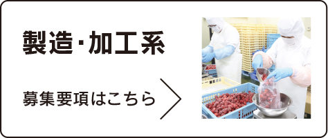 製造・加工系　募集要項はこちら