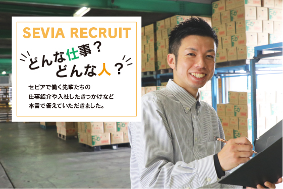 セビア営業　募集要項ヘッダー画像